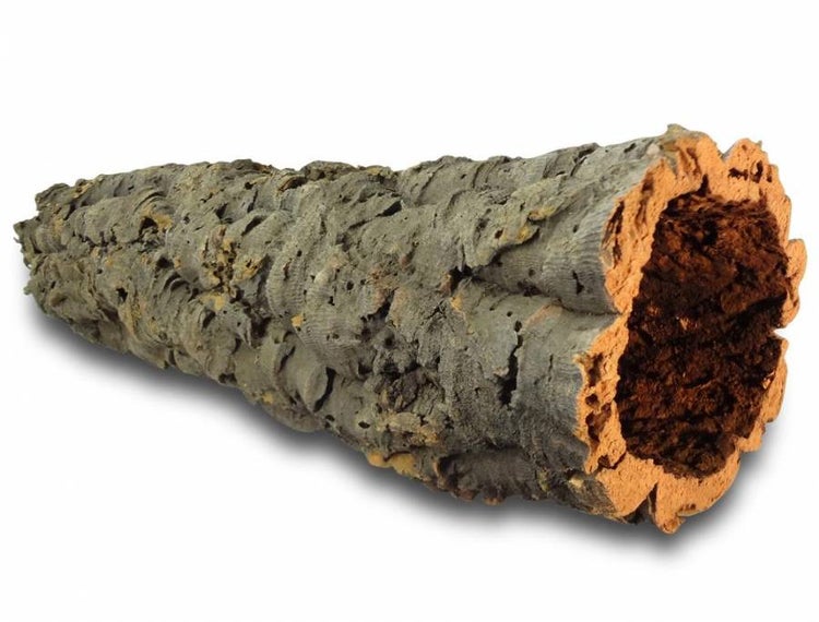 Natürliche Korkröhre für Terrarien, hohler Baumstamm aus Korkrinde.
