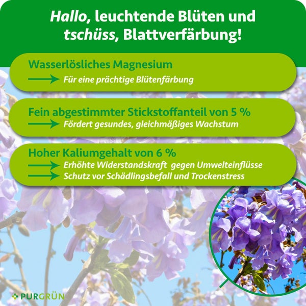Purgrün Blauglockenbaum-Dünger 1 kg