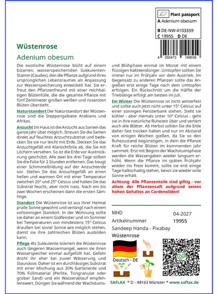 SAFLAX Geschenk Set - Wüstenrose - Adenium obesum - 8 Samen - Mit Geschenkbox, Versandaufkleber, Geschenkkarte und Anzuchtsubstrat