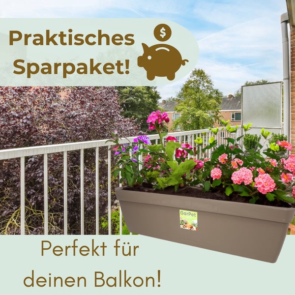 Balkonszene mit Blumenkasten voller bunter Blumen auf einem Balkon