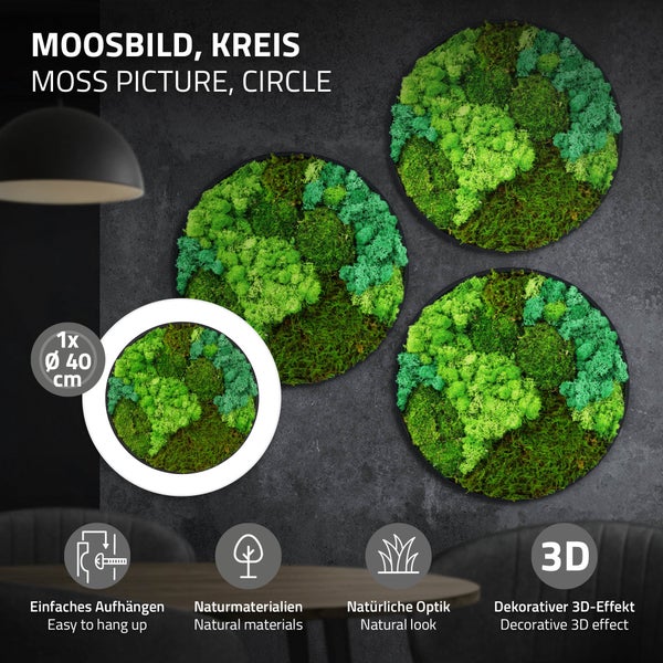Rundes Moosbild mit natürlichem Look, Durchmesser 40 Zentimeter, Wanddekoration aus Naturmaterialien mit dreidimensionalem Effekt.