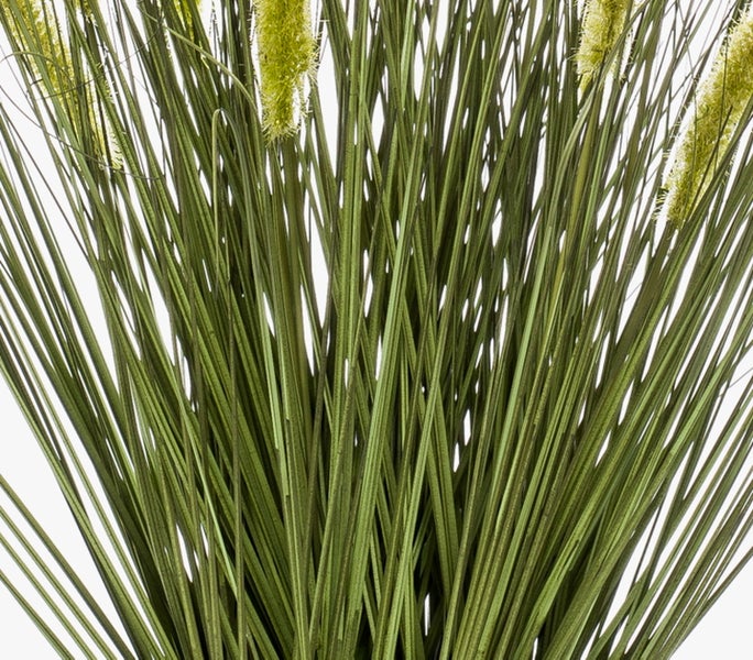 Nahaufnahme einer Bambuspflanze mit braunen Halmen und grünen Blättern.