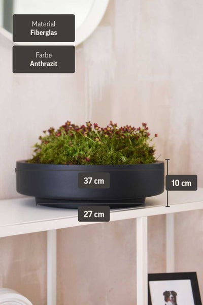 Pflanzschale aus Fiberglas in Anthrazit, Durchmesser 37 Zentimeter, Höhe 10 Zentimeter, Standfläche 27 Zentimeter, bepflanzt auf einem weißen Tisch.