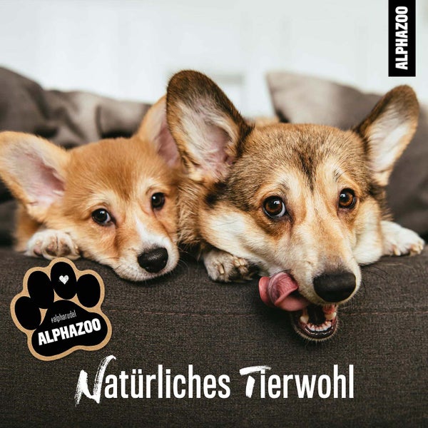 ALPHAZOO Muntermacher Bachblüten 15g für Hunde und Katzen I Spielfreude und Energie