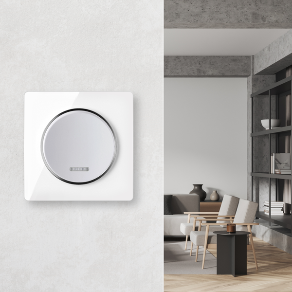 Ein moderner Lichtschalter mit rundem Einsatz an einer Wand vor einem stilvoll eingerichteten Wohnzimmer im Hintergrund.