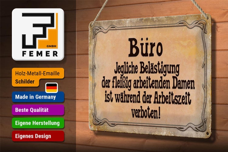 Blechschild Spruch 30x20cm Büro Belästigung der Damen