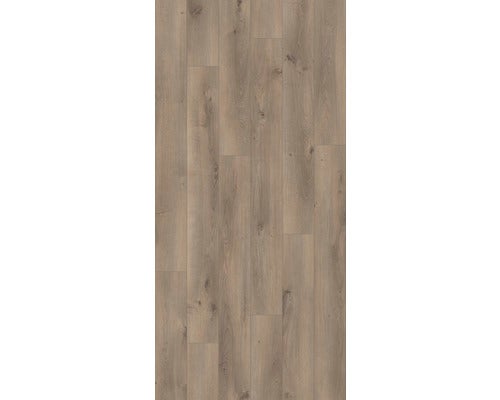 Laminat 8.0 Oak Pleno