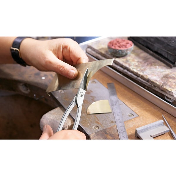 Dekorative Lampenputzergras Pflanze im Garten.