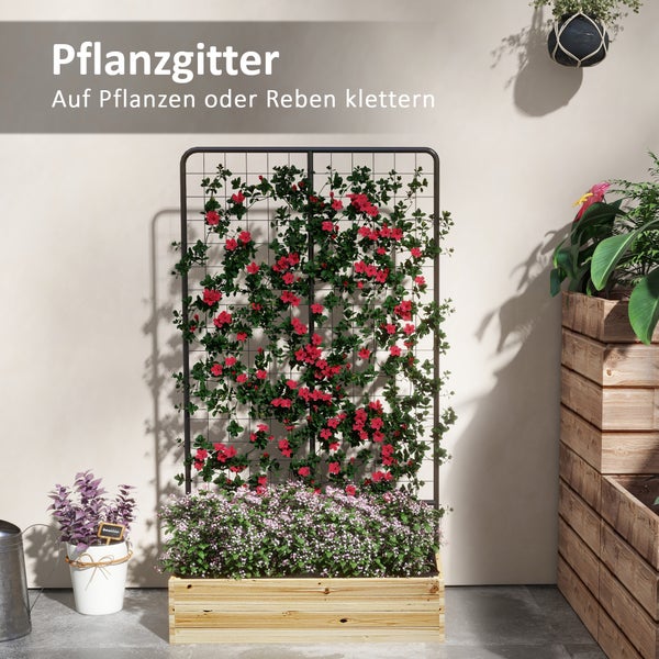 Pflanzgitter aus Metall mit Kletterpflanzen in einem Holzkasten