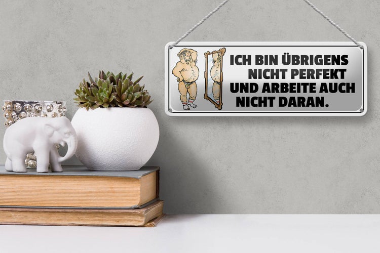 Blechschild Spruch 27x10cm ich bin übrigens nicht perfekt Dekoration