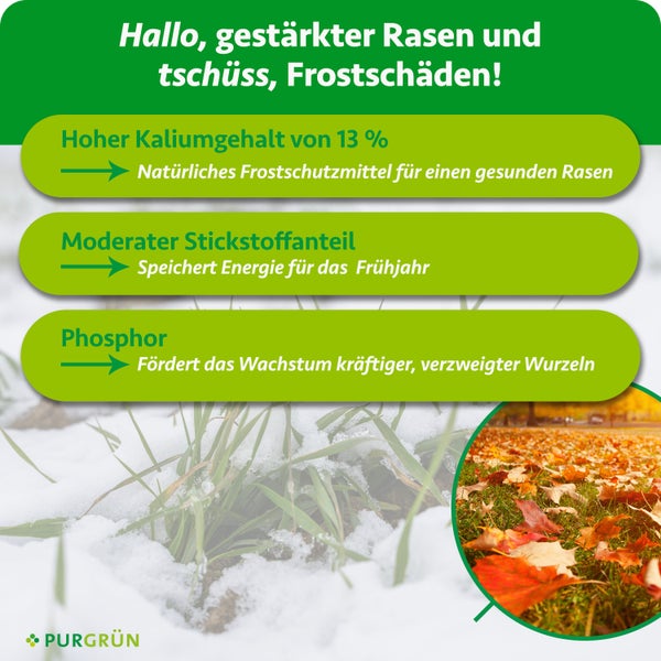 Infografik für Purgrün Rasendünger vor verschneitem Gras mit 13 Prozent Kalium für Frostschutz, Stickstoff und Phosphor für Wurzeln. Purgrün Logo.