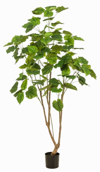 Unterteil einer Kunstpflanze mit dickem holzigem Stamm in einem schwarzen Kunststofftopf