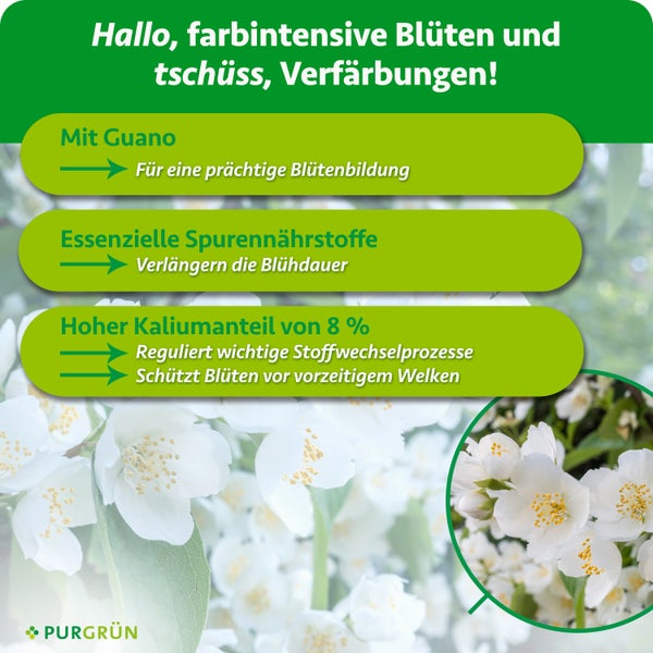 Produktinformationen für Purgrün Blütendünger mit Guano, essenziellen Spurennährstoffen und Kalium zur Förderung von Blütenpracht und Blühdauer.