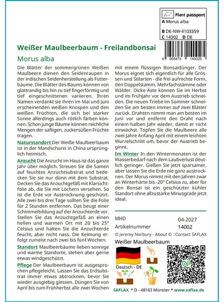 SAFLAX Garden in the bag - Weißer Maulbeerbaum - Morus alba - 200 Samen - Mit Anzuchtsubstrat im praktischen, selbst aufstellenden Beutel