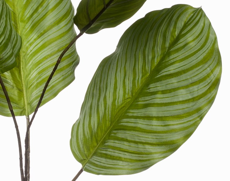 Künstliche Hängepflanze im schwarzen Topf mit weiß gemusterten Blättern