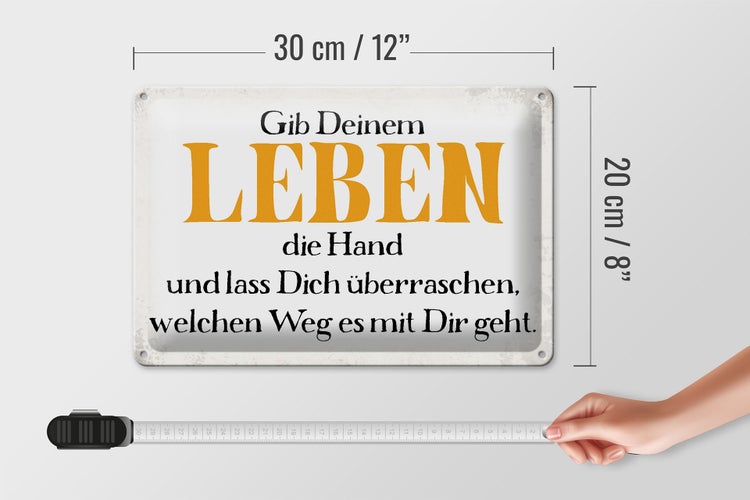 Blechschild Spruch 30x20cm gib deinem Leben die Hand