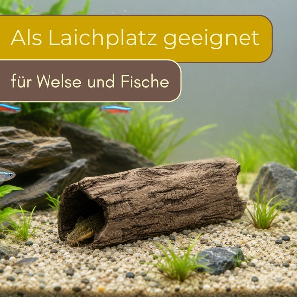 Aquariumdekoration in Form eines hohlen Baumstamms, geeignet als Laichplatz und Versteck für Welse und andere Fische.