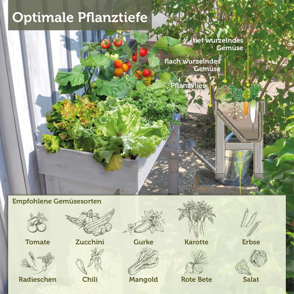 Hochbeet aus Holz mit Gemüse, Infografik zur optimalen Pflanztiefe für flach und tief wurzelndes Gemüse und Liste empfohlener Gemüsesorten.