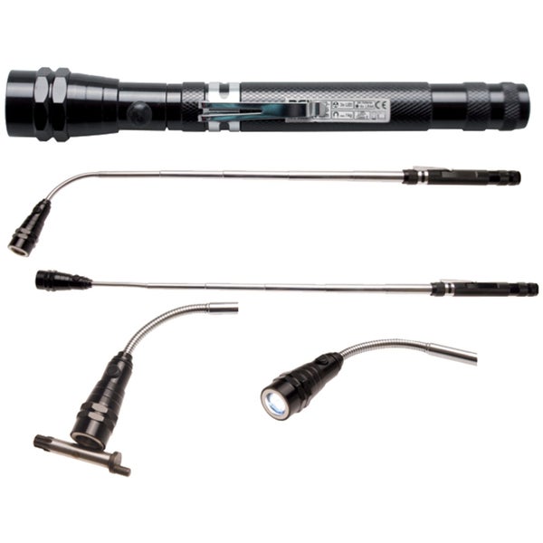 Gelbe Rudbeckia-Blumen mit lila Verbene-Blüten und Ziergräsern in einem Garten.