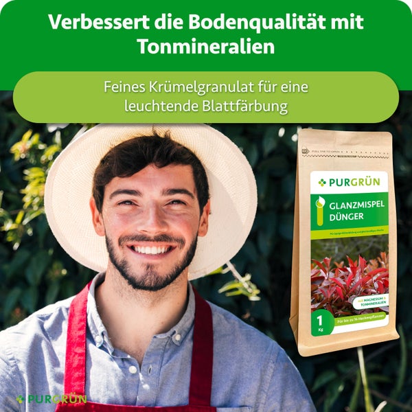 Ein glücklicher Gärtner mit Hut und Purgrün Glanzmispel Dünger als Granulat für Gartenhecken mit Magnesium und Tonmineralien in einer Packung.
