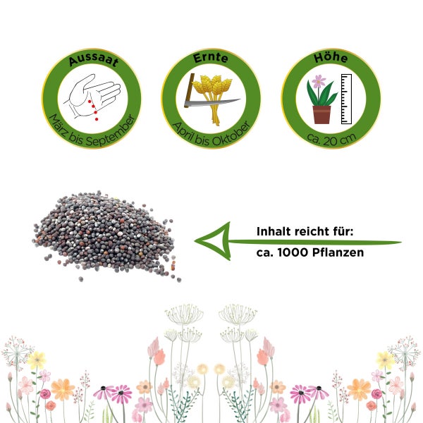 Stielmus Namenia Samen von Deine Gartenwelt
