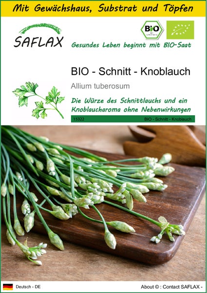 SAFLAX Anzucht Set - BIO - Schnitt - Knoblauch - Allium tuberosum - 100 Samen - Mit Mini-Gewächshaus, Anzuchtsubstrat und 2 Töpfen