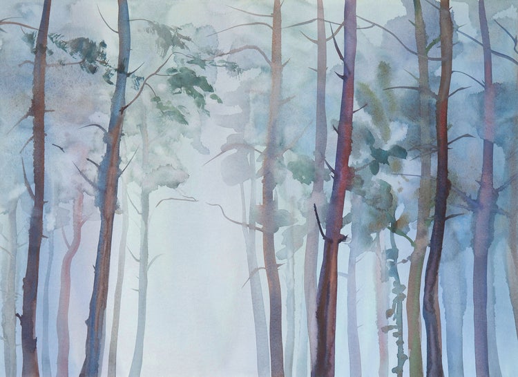 Fototapete im Aquarellstil mit Darstellung eines nebligen Nadelwaldes und vertikalen Baumstämmen.