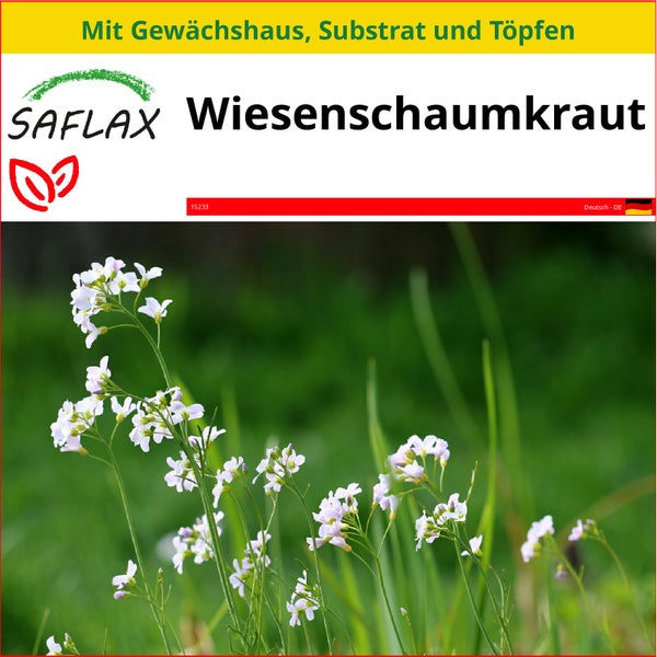 SAFLAX Anzucht Set - Wiesenschaumkraut - Cardamine pratensis - 100 Samen - Mit Mini-Gewächshaus, Anzuchtsubstrat und 2 Töpfen