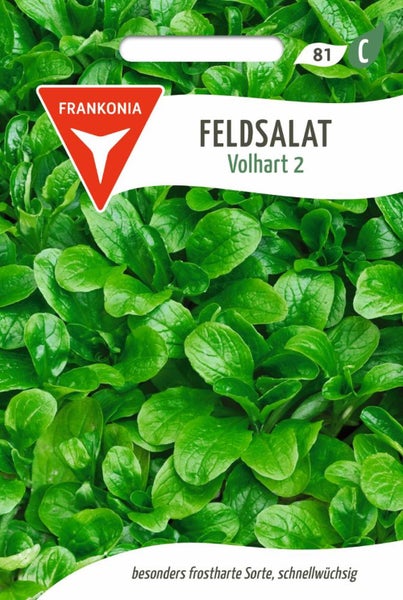 Feldsalat Samenpackung