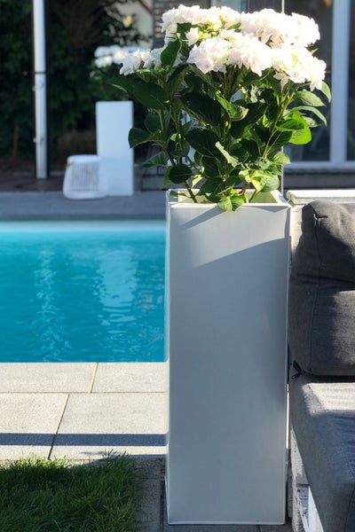 Hoher, quadratischer Pflanzkübel mit einer Hortensie auf einer Steinterrasse neben einem Swimmingpool und Gartenmöbeln.