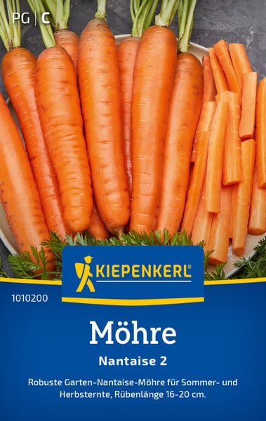 Kiepenkerl Möhren Samen Nantaise 2 als robuste Sorte für Sommer- und Herbsternte mit 16 bis 20 Zentimeter langen Möhren