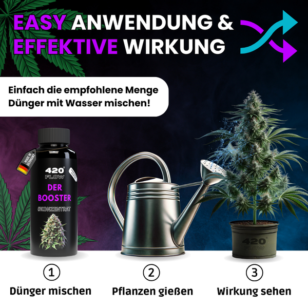 Anleitung zur Anwendung von 420 Flow Pflanzendünger Konzentrat mit Misch-, Gieß- und Wirkungsschritt.