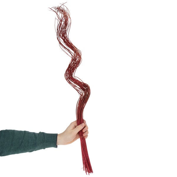 Bündel gewellte rote Dekozweige aus Naturmaterial