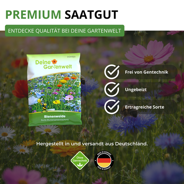 Premium Saatgut für Bienenweide, frei von Gentechnik, ungebeizt und ertragreiche Sorte, hergestellt in Deutschland.