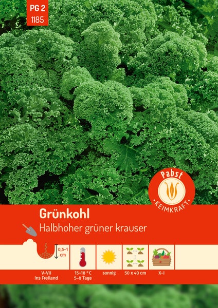 Samenpackung für Grünkohl Halbhoher grüner krauser, Pabst Keimkraft Logo, Hinweise zu Aussaat, Standort und Erntezeitraum.