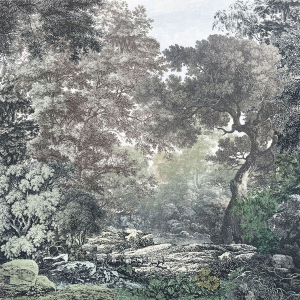 Illustration eines dichten Waldes mit Bäumen und Büschen