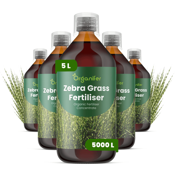 Organifer Chinaschilf-Dünger, 5 Flaschen à 5 Liter, organisches Düngerkonzentrat für 5000 Liter.