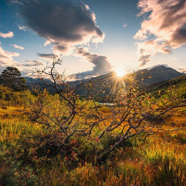 Landschaft mit einem Feld, Büschen, Bergen und Sonnenlicht