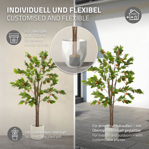 Dekorativer Orangenbaum im Topf für den Innen- und Außenbereich