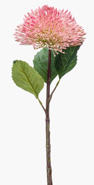 Künstliche Blume, rosafarbene Nadelkissen-Protea mit grünen Blättern und braunem Stiel.