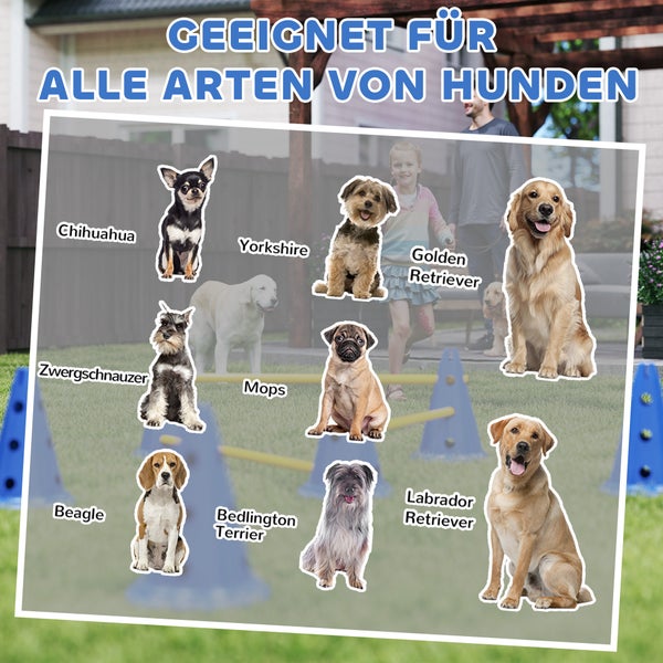 Vielfalt an Hunderassen wie Chihuahua und Labrador auf einem Agility Parcours im Garten. Text besagt Geeignet für alle Arten von Hunden.