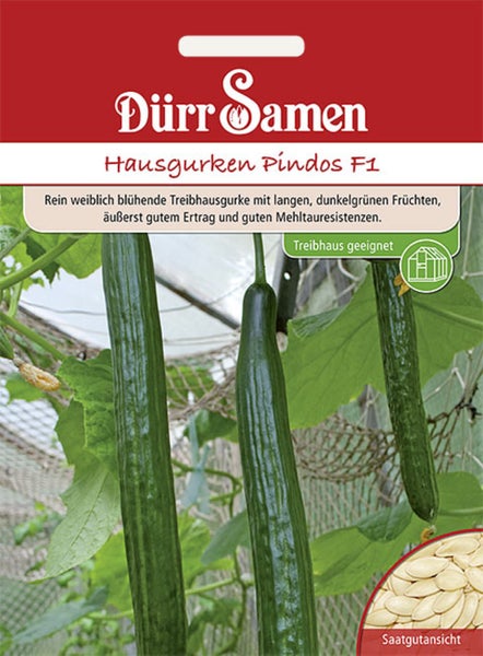 Samenpackung Dürr Samen Hausgurken Pindos F1, geeignet für das Gewächshaus, mit Abbildung von langen grünen Gurken und einer Ansicht der Samen.