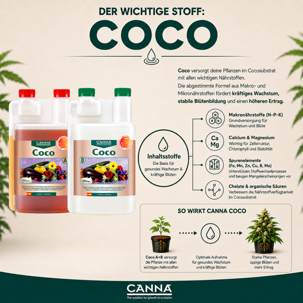 Infografik zum Canna Coco Pflanzendünger mit Produktabbildung von Canna Coco A und B und Erklärung der Inhaltsstoffe und Anwendung.