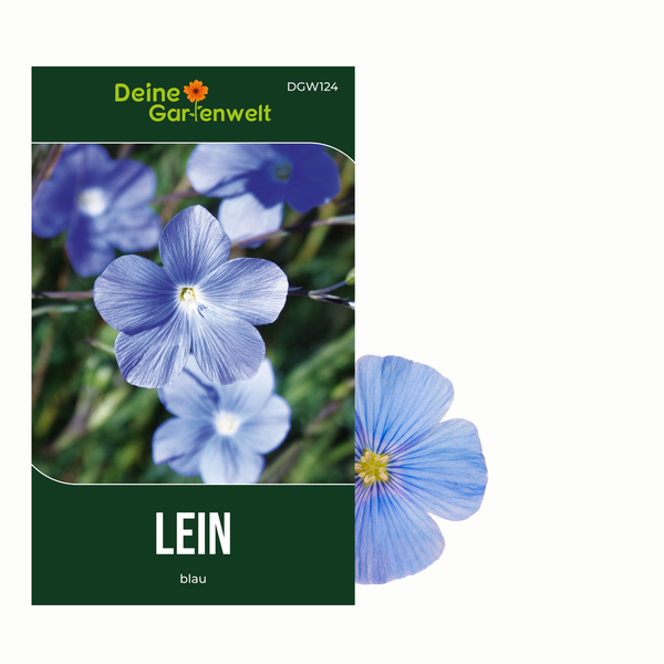 Staudenlein blau Samen von Deine Gartenwelt