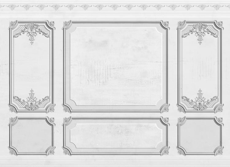 Wandpaneele mit verzierten Rahmen im klassischen Barock-Stil.