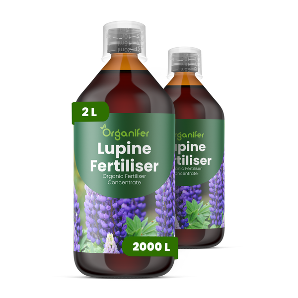 Organifer Lupinen-Dünger, organisches Flüssigdünger-Konzentrat, 2 Liter Flasche ergibt circa 2000 Liter Düngemittel.