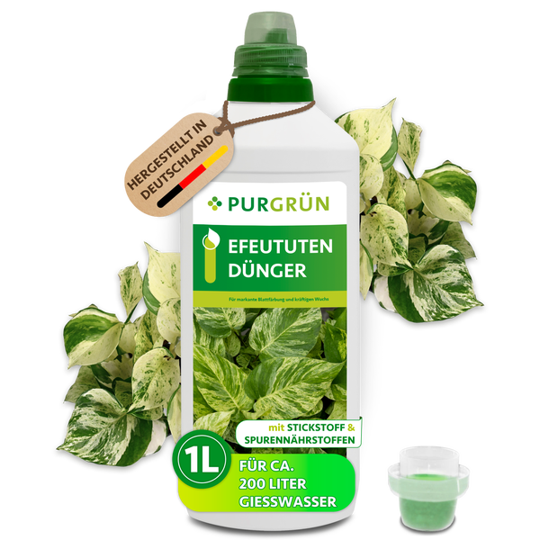 Purgrün Efeututen-Dünger in der 1 Liter Flasche, hergestellt in Deutschland, ausreichend für circa 200 Liter Gießwasser.