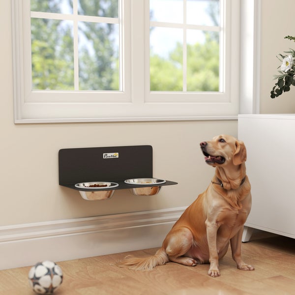 Wandmontierte Futterstation für Hunde mit zwei Edelstahlnäpfen an einer schwarzen Halterung, neben einem sitzenden Golden Retriever.