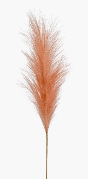 Künstliche Pampasgras Rispe AMATSIA, pfirsich, 115cm - Deko Pampasgras
