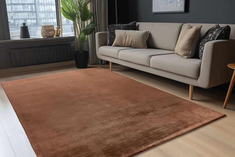 Brauner Wohnzimmerteppich in einem modernen Wohnzimmer mit Sofa und Pflanzen